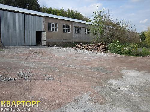 Rent out warehouse. Киевская обл., Гореничи — photo 1