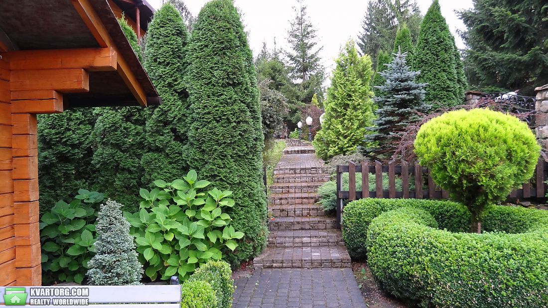Rent out house. Ивано-Франковск, Микуличин — photo 8