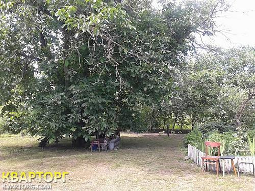 Sell house. Киевская обл., с. Веселиновка — photo 1