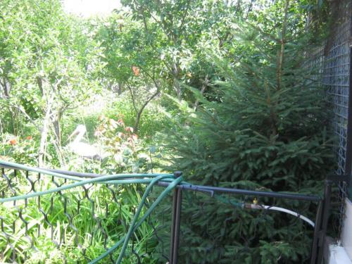 Rent out house. Одесса, Южная дорога 33 — photo 4
