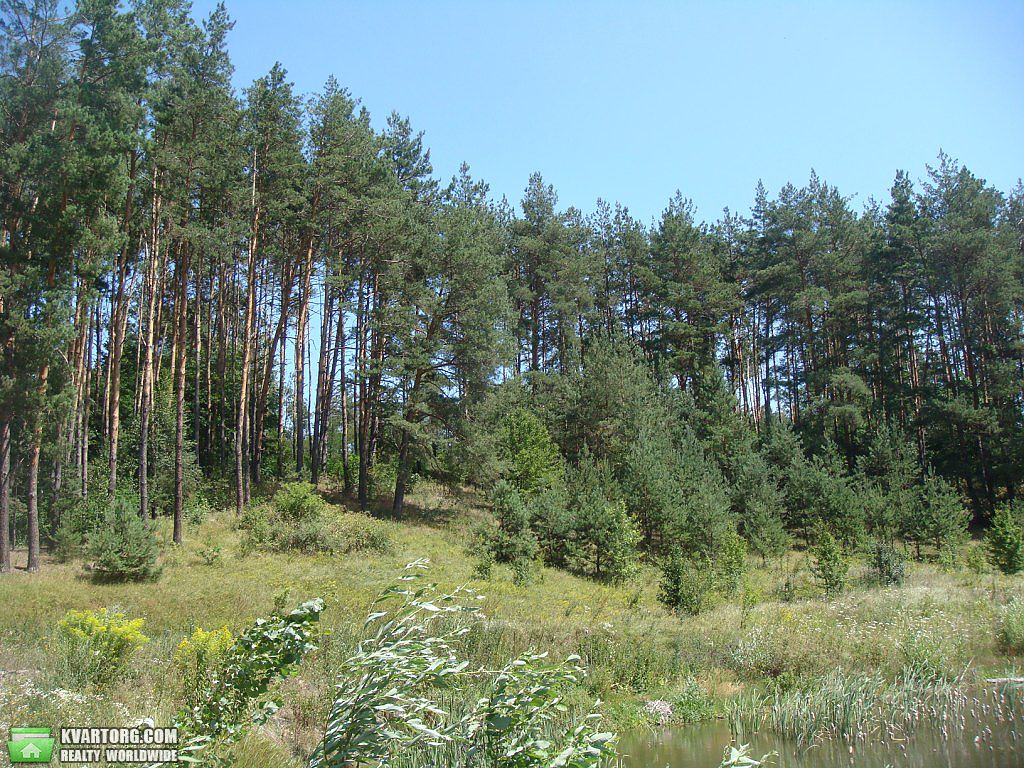 Sell house. Киевская обл., с.Лишня — photo 2