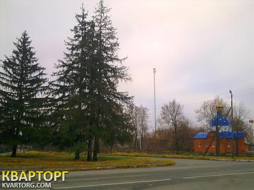 Sell house. Киевская обл., кухари — photo 9