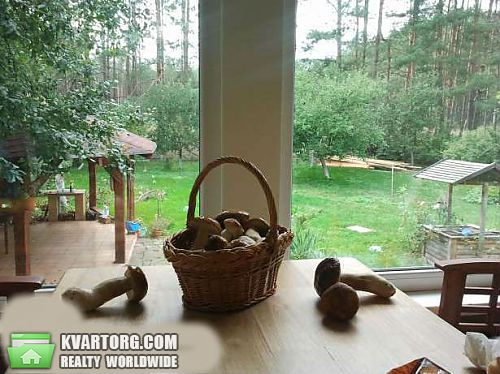 Sell house. Буча, Шибеное — photo 10