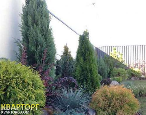 Rent out house. Киев, Вильямса — photo 6