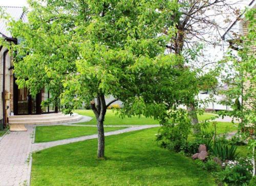 Rent out house. Киевская обл., Шевченко — photo 8