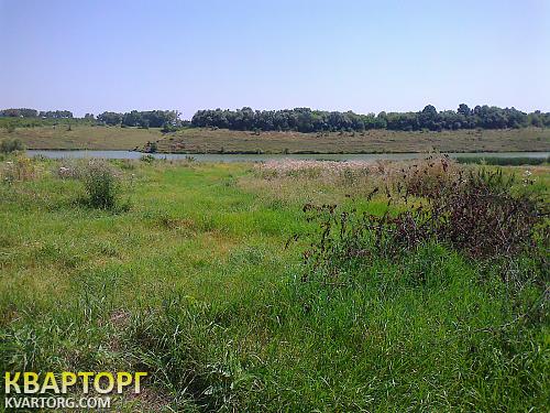 Sell house. Киевская обл., Лосятин — photo 9