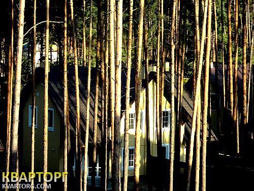 Sell house. Киевская обл., + — photo 1