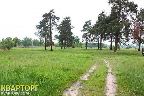 Sell house. Киевская обл., окраина — photo 6