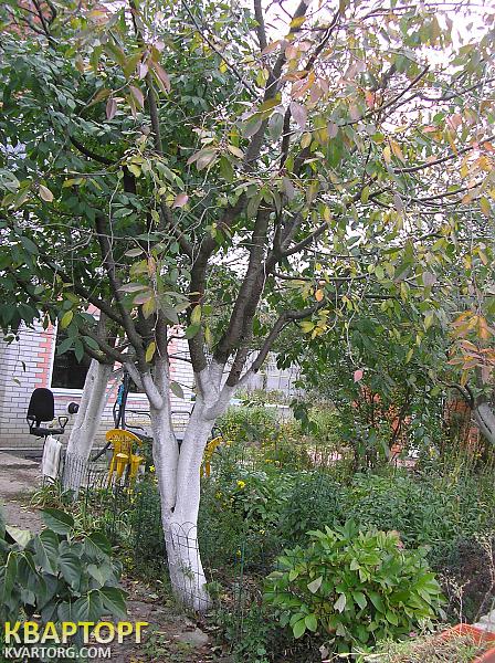 Sell house. Киевская обл., Подгорная — photo 7
