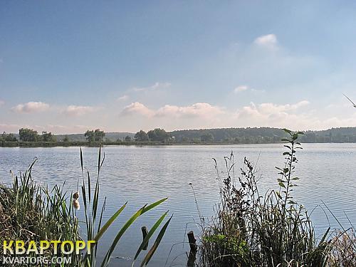 Rent out house. Киев, Михайловская Рубежовка — photo 7