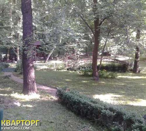 Rent out house. Киевская обл., Гореничи — photo 6
