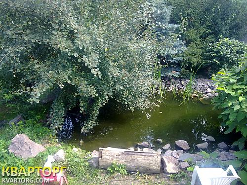 Rent out house. Киев, чайки — photo 9