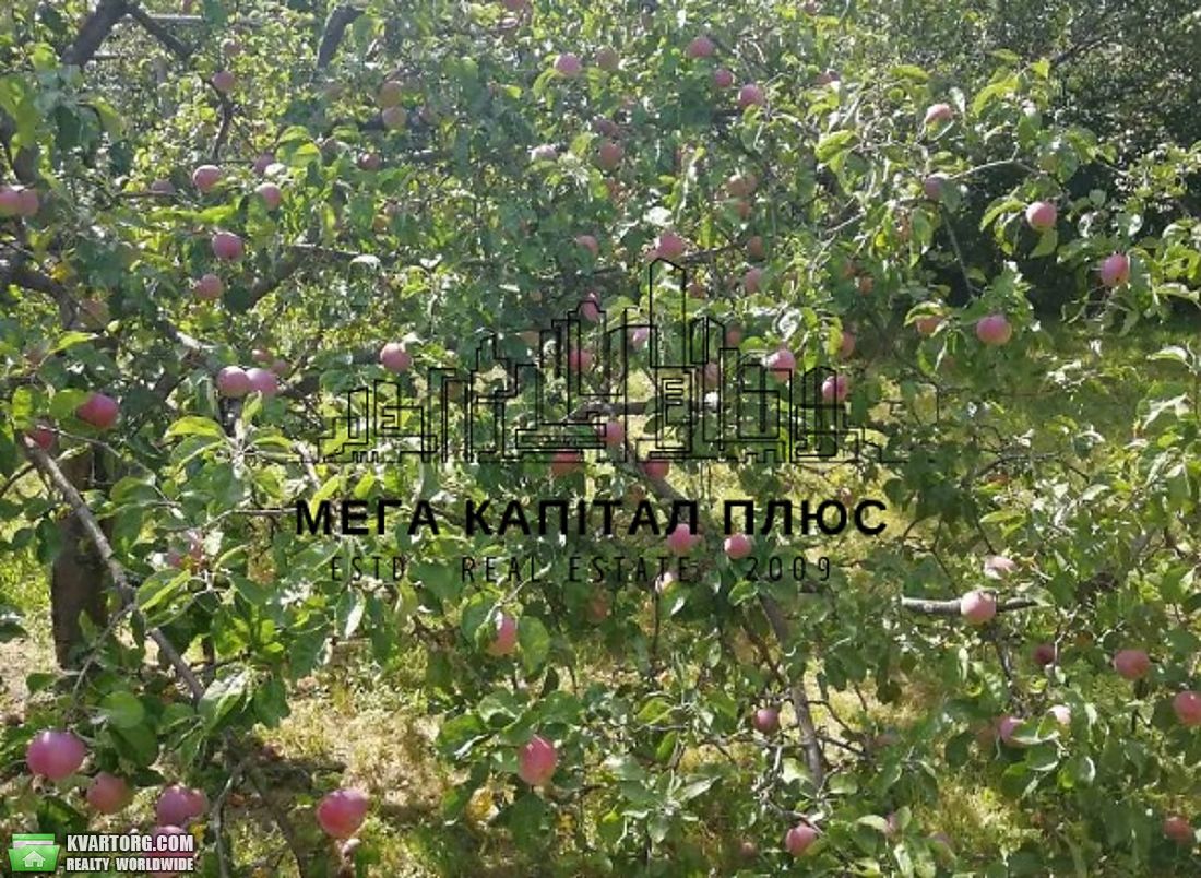 Rent out house. Киевская обл., Центральна — photo 9