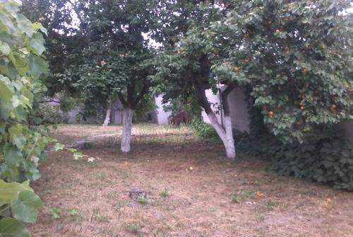 Sell house. Киевская обл., Unnamed Road — photo 5