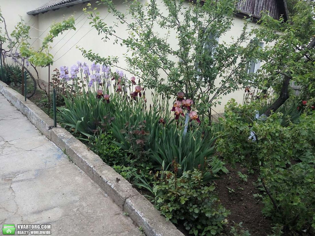 Rent house. Одесса, Л. Украинки — photo 9
