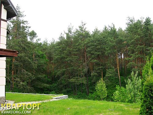 Rent out house. Киевская обл., с.Березанщина — photo 2