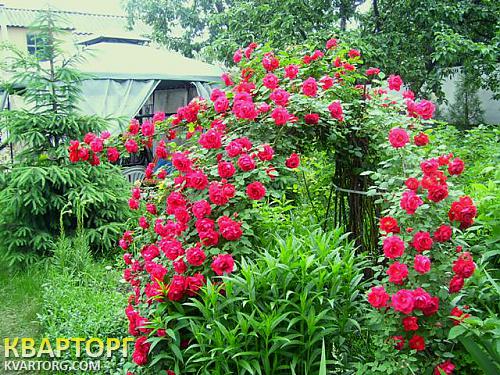 Sell house. Киев, Ленина — photo 8