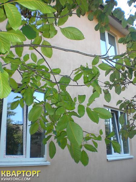 Sell house. Киевская обл., Коминтерна — photo 4