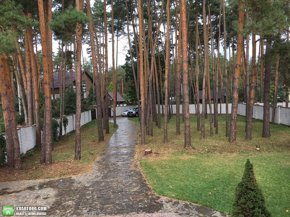 Rent out house. Киевская обл., Рудыки — photo 4