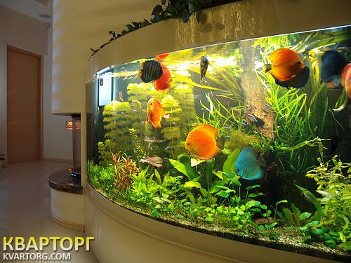 Sell 3-room apartment. Киев, Анищенко — photo 1
