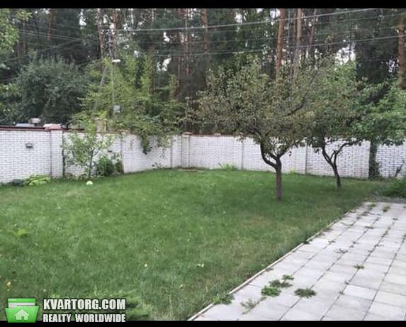 Rent out house. Киевская обл., Круглик — photo 3