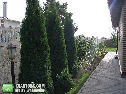 Sell house. Бровары, Пуховка — photo 5