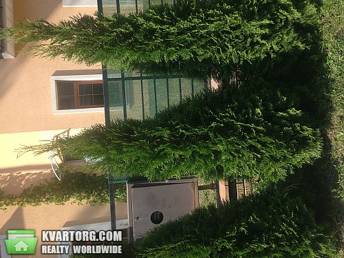 Sell house. Киевская обл., Плюты — photo 3