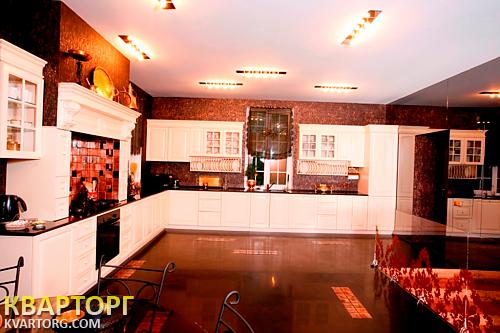 Rent out house. Киевская обл., с. Ходосеевка — photo 6