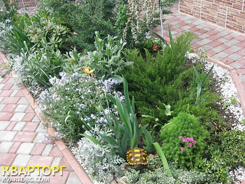 Sell house. Одесса, Ёлочная — photo 4