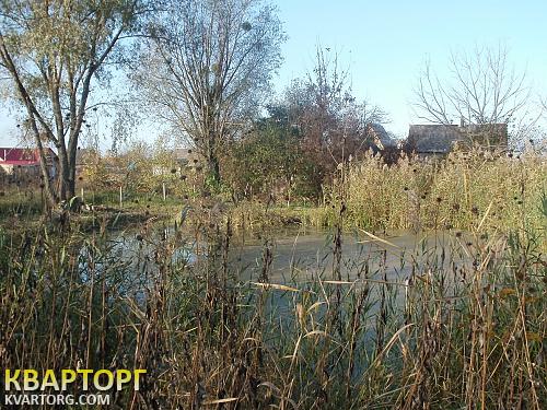 Sell house. Киевская обл., Буча — photo 2