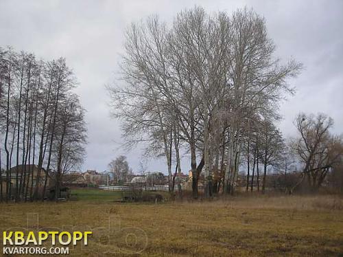 Sell house. Киевская обл., Белогородка — photo 3