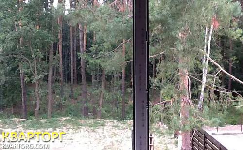 Sell house. Киевская обл., Гореничи — photo 8
