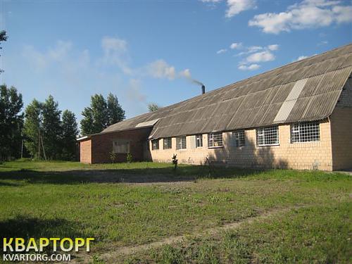Sell warehouse. Чернигов,  Щорса — photo 1