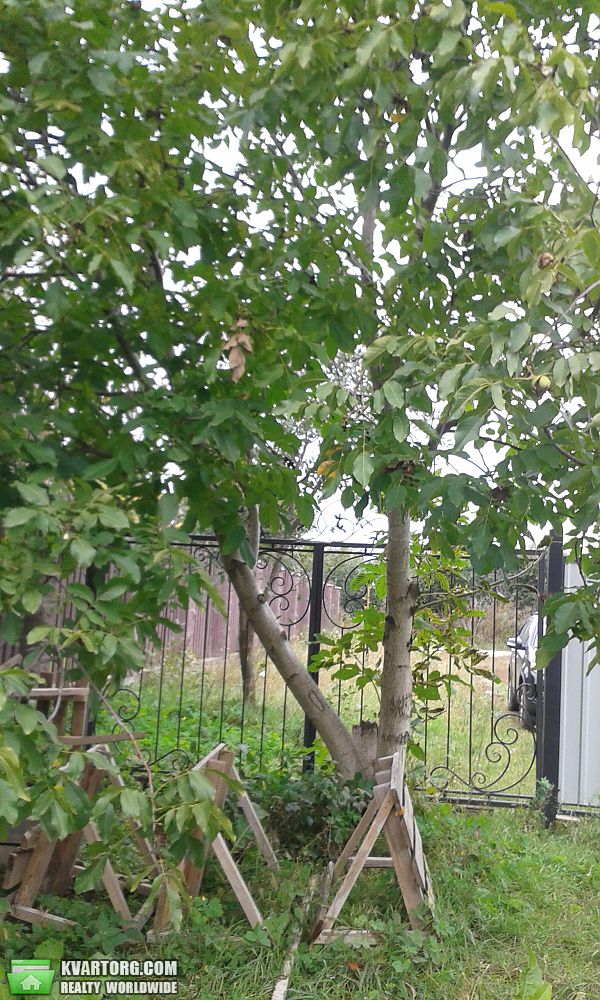 Sell house. Киевская обл.,  Лесная — photo 5