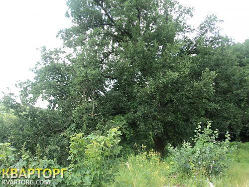 Sell house. Киевская обл., обухов — photo 4