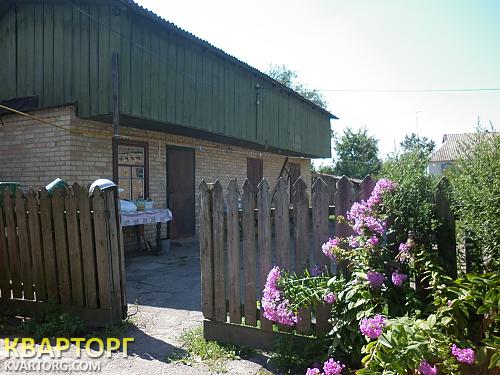 Sell house. Киевская обл., Плесецкое — photo 2
