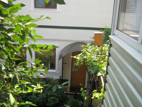 Rent out house. Одесса, Южная дорога 33 — photo 9