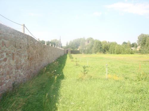 Sell house. Киевская обл., Дубечня — photo 5