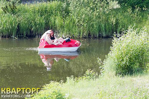Rent out house. Киев, Броварской р-н — photo 5