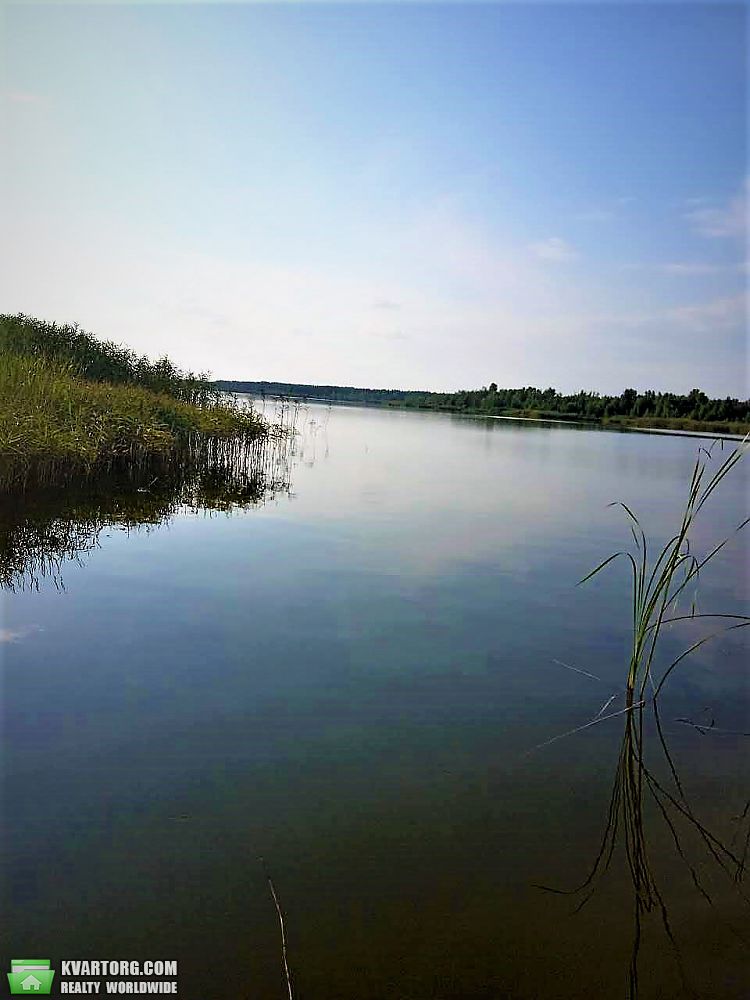 Sell house. Киевская обл., новая — photo 9