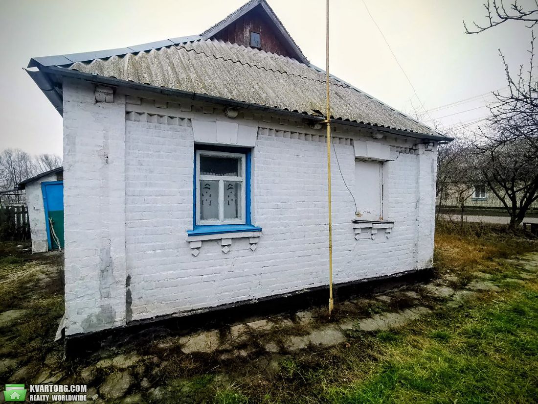 Sell house. Киевская обл., Кривошиївці — photo 6