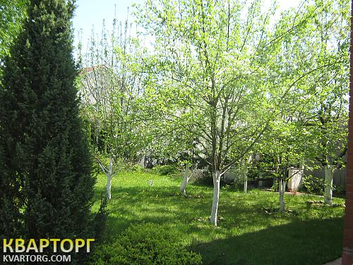 Rent out house. Киевская обл., Пуховка — photo 5