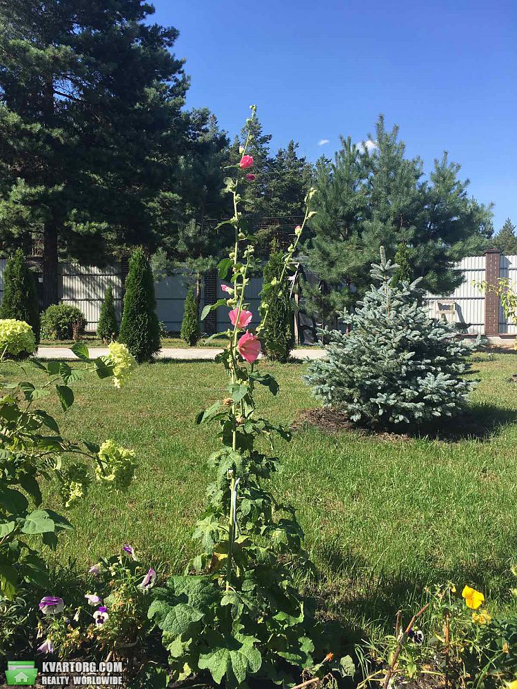 Sell house. Вышгород, Низшая Дубечня — photo 4
