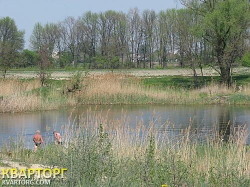 Sell house. Киевская обл., Требухов — photo 2