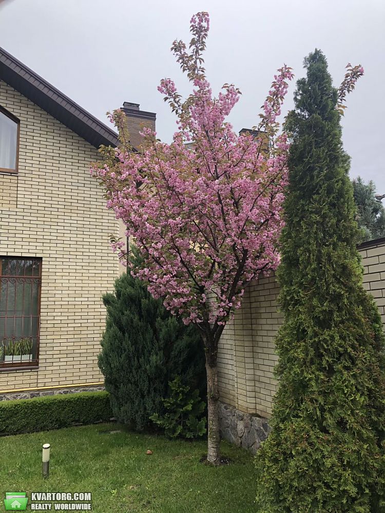 Sell house. Харьков, Академика Павлова — photo 2