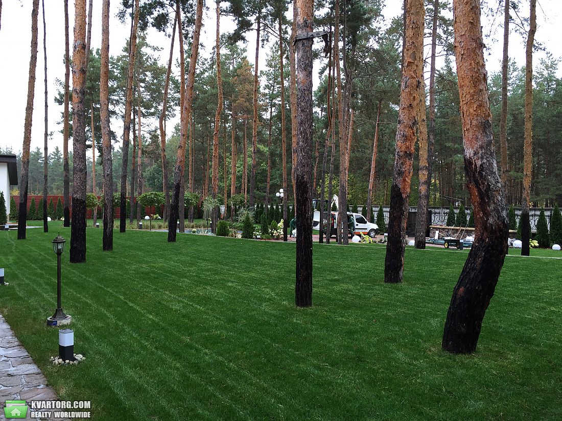 Rent out house. Киевская обл., Конча - Заспа — photo 8