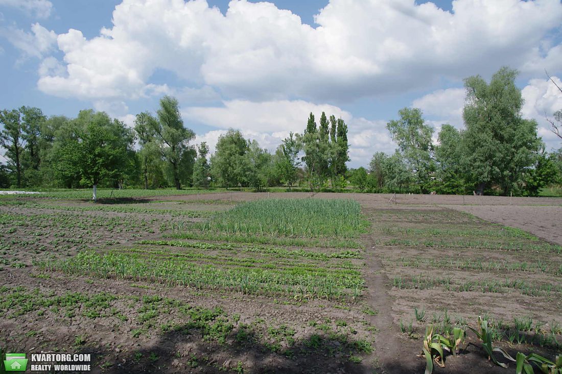 Sell house. Борисполь,  Луговая — photo 9