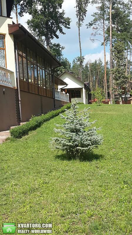 Sell house. Киевская обл., Сосновая — photo 6