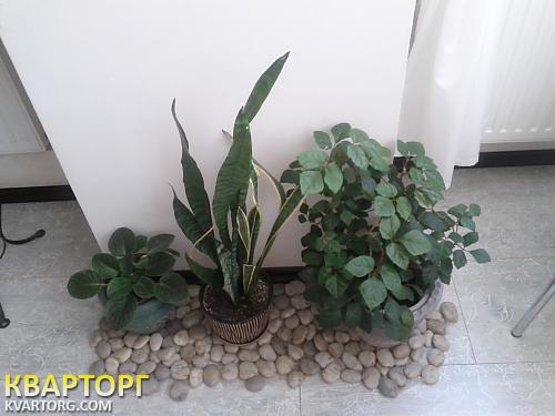 Sell 1-room apartment. Одесса, Дюковская — photo 10