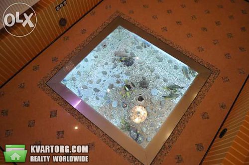 Rent out office. Киев, Михайловский пер — photo 5